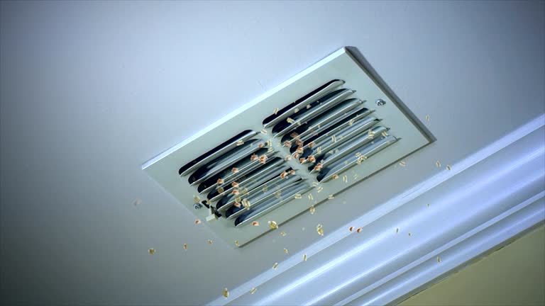 Best Professional Duct Cleaning Services  in Cobb Island, MD