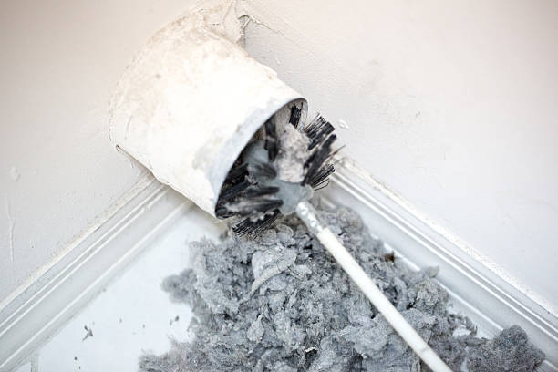 Best HVAC Air Duct Cleaning  in Cobb Island, MD