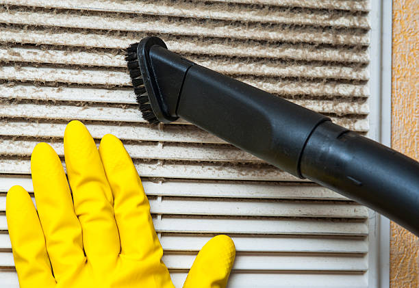 Best Local Air Duct Cleaning Services  in Cobb Island, MD