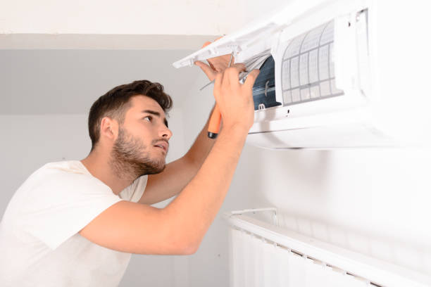 Best Air Duct Sanitizing Services  in Cobb Island, MD